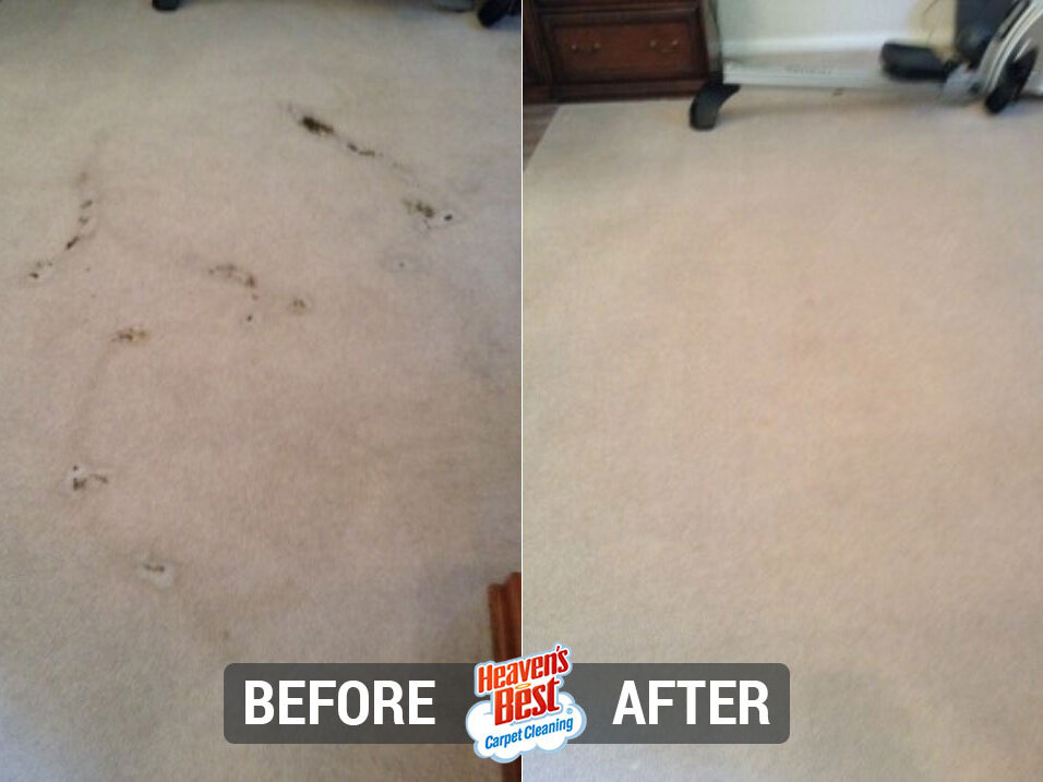 Heaven's Best Carpet Cleaning of Parker County, TX